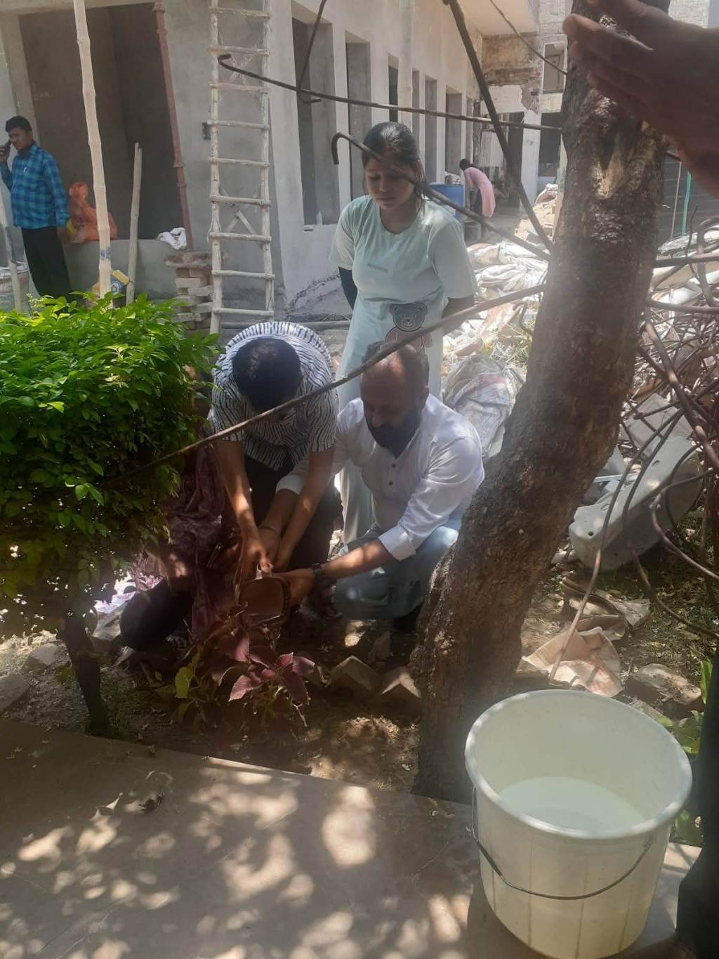Red Cross Celebrates World Environment Day
